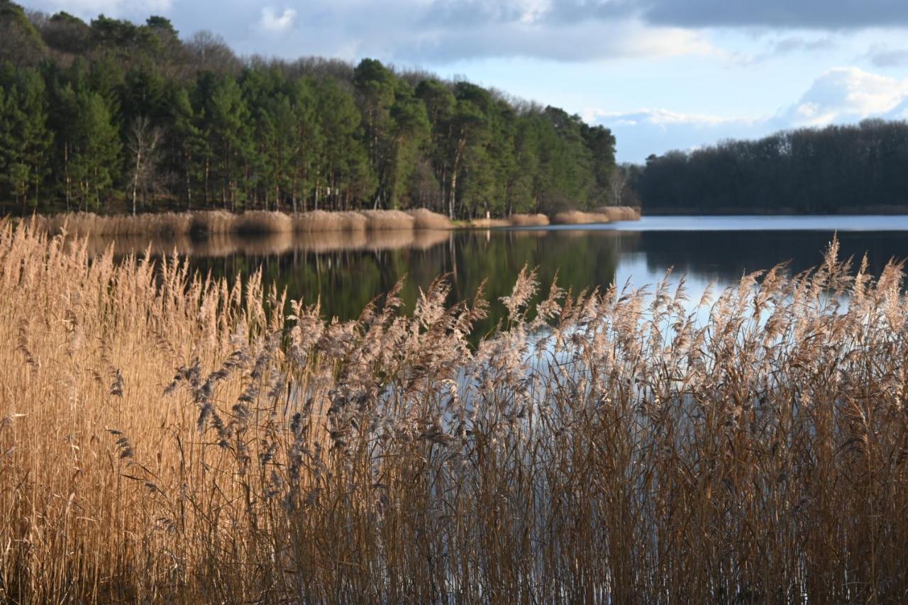 Aux 3 Forets Bizeneuille Eksteriør billede